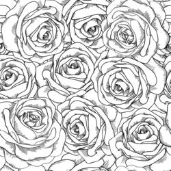 Раскраска: Букет цветов (природа) #160744 - Бесплатные раскраски для печати