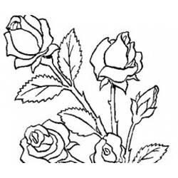 Раскраска: Букет цветов (природа) #160747 - Бесплатные раскраски для печати