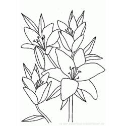 Раскраска: Букет цветов (природа) #160788 - Бесплатные раскраски для печати