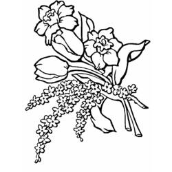 Раскраска: Букет цветов (природа) #160790 - Бесплатные раскраски для печати