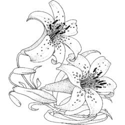 Раскраска: Букет цветов (природа) #160834 - Бесплатные раскраски для печати