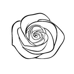 Раскраска: Букет цветов (природа) #160841 - Бесплатные раскраски для печати
