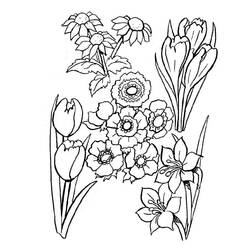 Раскраска: Букет цветов (природа) #160855 - Бесплатные раскраски для печати