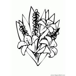 Раскраска: Букет цветов (природа) #160891 - Бесплатные раскраски для печати