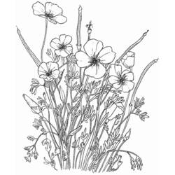 Раскраска: Букет цветов (природа) #160928 - Бесплатные раскраски для печати