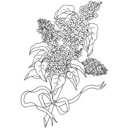 Раскраска: Букет цветов (природа) #160994 - Бесплатные раскраски для печати