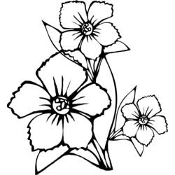 Раскраска: Букет цветов (природа) #161003 - Бесплатные раскраски для печати