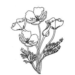Раскраска: Букет цветов (природа) #161045 - Бесплатные раскраски для печати