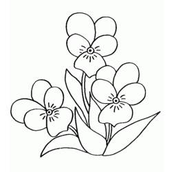 Раскраска: Букет цветов (природа) #161093 - Бесплатные раскраски для печати