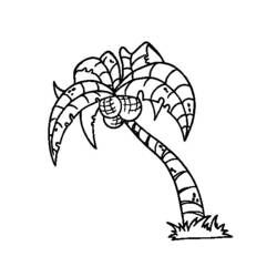 Раскраска: кокосовый (природа) #162375 - Бесплатные раскраски для печати