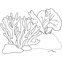 Раскраска: коралловый (природа) #162779 - Бесплатные раскраски для печати