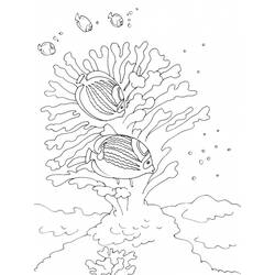 Раскраска: коралловый (природа) #162781 - Бесплатные раскраски для печати