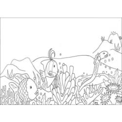 Раскраска: коралловый (природа) #162795 - Бесплатные раскраски для печати