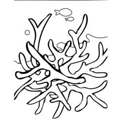 Раскраска: коралловый (природа) #162890 - Бесплатные раскраски для печати