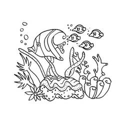Раскраска: коралловый (природа) #162895 - Бесплатные раскраски для печати