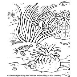 Раскраска: коралловый (природа) #162920 - Бесплатные раскраски для печати