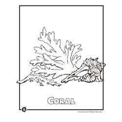Раскраска: коралловый (природа) #162945 - Бесплатные раскраски для печати