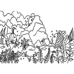 Раскраска: коралловый (природа) #162963 - Бесплатные раскраски для печати