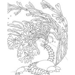 Раскраска: коралловый (природа) #162973 - Бесплатные раскраски для печати