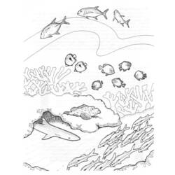 Раскраска: коралловый (природа) #162977 - Бесплатные раскраски для печати