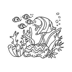Раскраска: коралловый (природа) #162991 - Бесплатные раскраски для печати