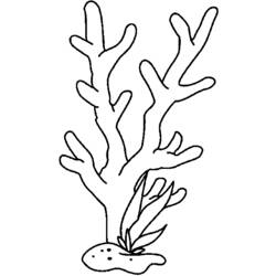 Раскраска: коралловый (природа) #162999 - Бесплатные раскраски для печати