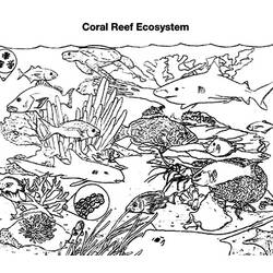Раскраска: коралловый (природа) #163088 - Бесплатные раскраски для печати