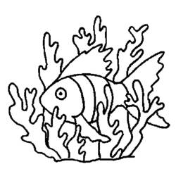 Раскраска: коралловый (природа) #163133 - Бесплатные раскраски для печати