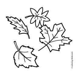 Раскраска: Осенний сезон (природа) #164051 - Бесплатные раскраски для печати
