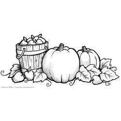 Раскраска: Осенний сезон (природа) #164228 - Бесплатные раскраски для печати