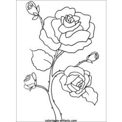 Раскраска: цветы (природа) #154967 - Бесплатные раскраски для печати