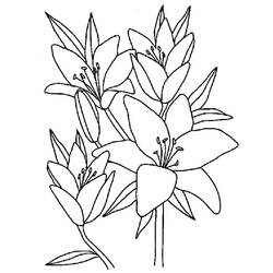 Раскраска: цветы (природа) #154969 - Бесплатные раскраски для печати