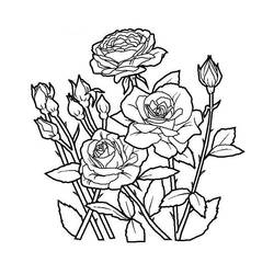 Раскраска: цветы (природа) #154978 - Бесплатные раскраски для печати