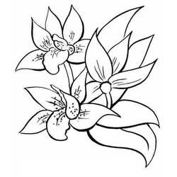 Раскраска: цветы (природа) #154979 - Бесплатные раскраски для печати