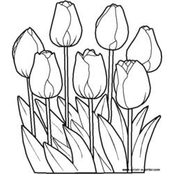 Раскраска: цветы (природа) #154985 - Бесплатные раскраски для печати