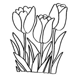 Раскраска: цветы (природа) #154991 - Бесплатные раскраски для печати