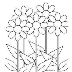 Раскраска: цветы (природа) #154997 - Бесплатные раскраски для печати