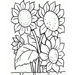 Раскраска: цветы (природа) #155000 - Бесплатные раскраски для печати