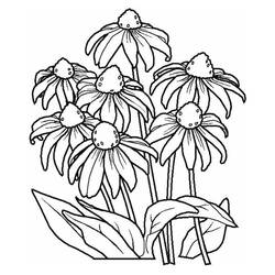 Раскраска: цветы (природа) #155142 - Бесплатные раскраски для печати