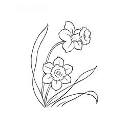 Раскраска: цветы (природа) #155250 - Бесплатные раскраски для печати