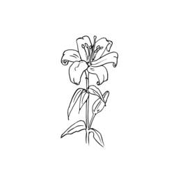 Раскраска: цветы (природа) #155259 - Бесплатные раскраски для печати