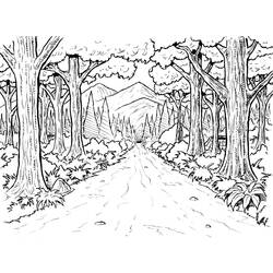 Раскраски: лес - Бесплатные раскраски для печати
