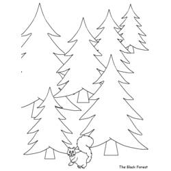 Раскраска: лес (природа) #157054 - Бесплатные раскраски для печати