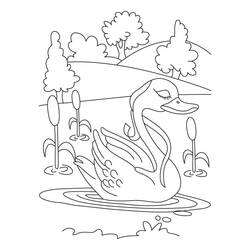 Раскраска: озеро (природа) #166076 - Бесплатные раскраски для печати