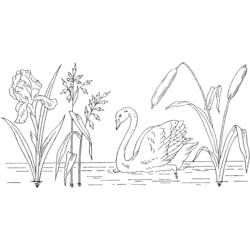 Раскраска: озеро (природа) #166100 - Бесплатные раскраски для печати