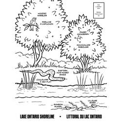 Раскраска: озеро (природа) #166147 - Бесплатные раскраски для печати