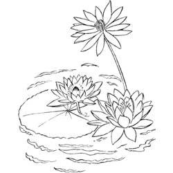 Раскраска: озеро (природа) #166200 - Бесплатные раскраски для печати