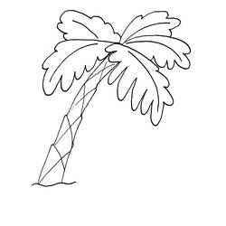 Раскраска: пальма (природа) #161116 - Бесплатные раскраски для печати