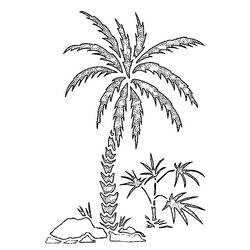 Раскраска: пальма (природа) #161123 - Бесплатные раскраски для печати