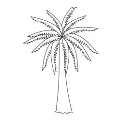 Раскраска: пальма (природа) #161137 - Бесплатные раскраски для печати